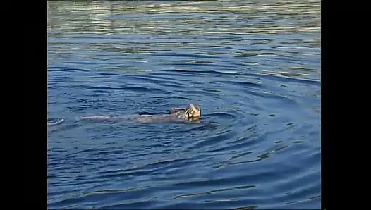 götten Faktörü Cilt.2 (Uzun Metrajlı Film)